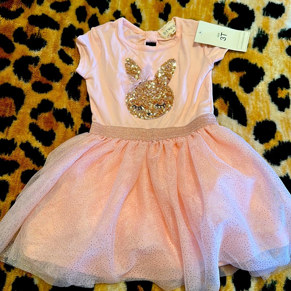 Btween Toddler Girl Blush Pink Tutu Dress 3T